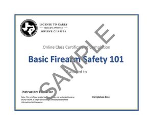 Valkyrie Tactical - Basic Firearm Safety 101 - Certificate of Completion
